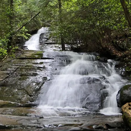 Villa Wood Nest Retreat - Dog Friendly In Blue Ridge Ga